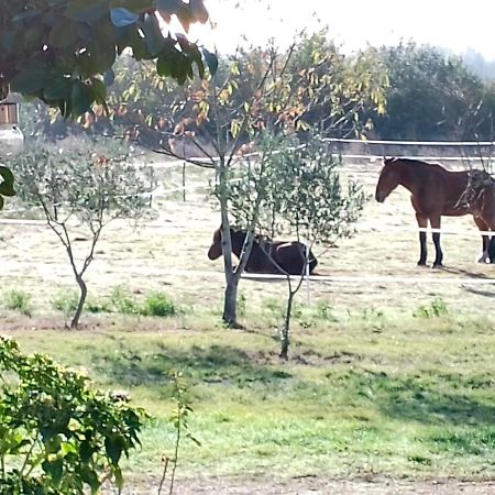La Riviere Διαμέρισμα Damazan Εξωτερικό φωτογραφία